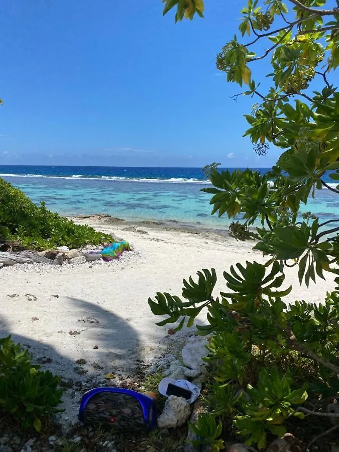 Willa The Blue Pineapple Beach House Temae
